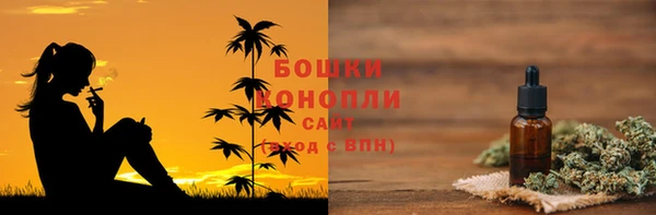 эйфоретик Горняк