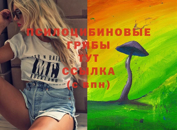эйфоретик Горняк